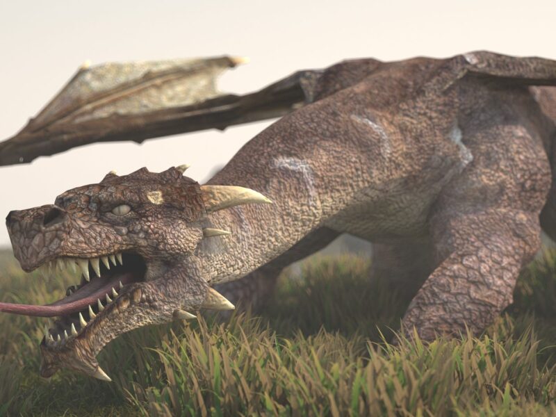 Dragon marron.